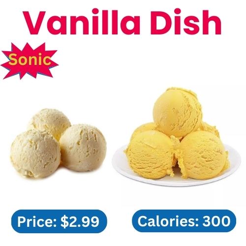 Sonic Vanilla Dish